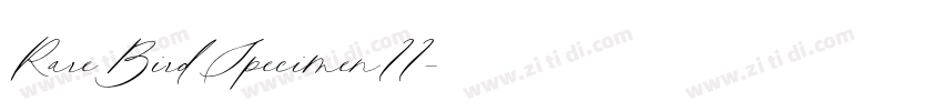 RareBirdSpecimenII字体转换