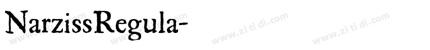 NarzissRegula字体转换