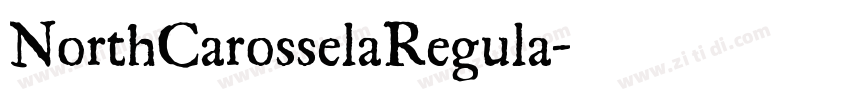 NorthCarosselaRegula字体转换