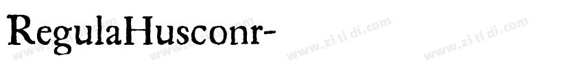 RegulaHusconr字体转换
