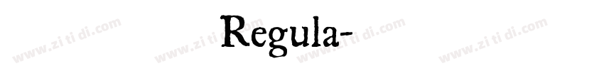 黄引齐招牌Regula字体转换