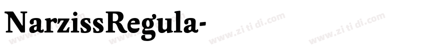 NarzissRegula字体转换