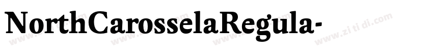 NorthCarosselaRegula字体转换