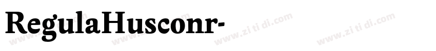 RegulaHusconr字体转换