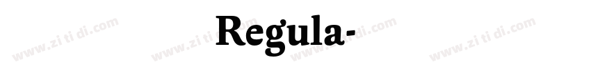 黄引齐招牌Regula字体转换