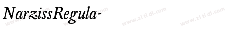 NarzissRegula字体转换