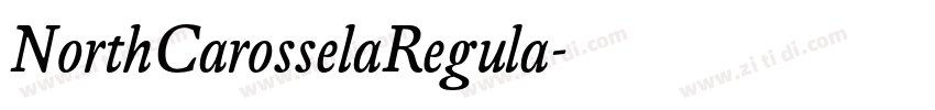 NorthCarosselaRegula字体转换