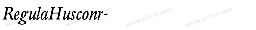 RegulaHusconr字体转换