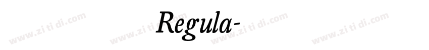 黄引齐招牌Regula字体转换