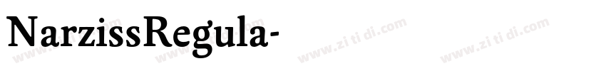 NarzissRegula字体转换