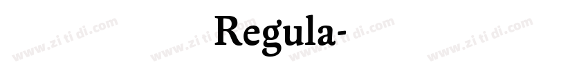 黄引齐招牌Regula字体转换
