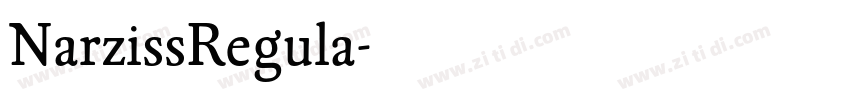 NarzissRegula字体转换