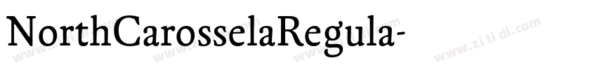 NorthCarosselaRegula字体转换