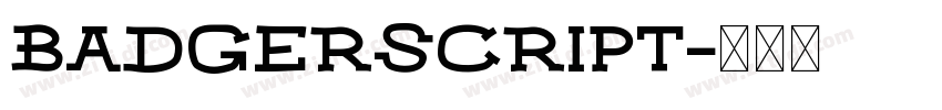 BadgerScript字体转换