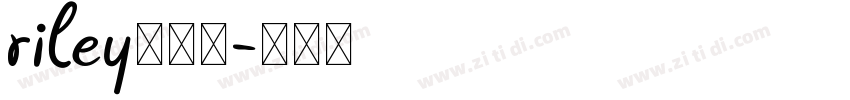 riley下载站字体转换