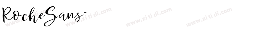 RocheSans字体转换