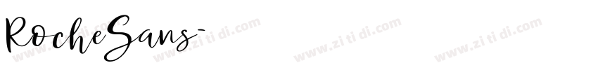 RocheSans字体转换