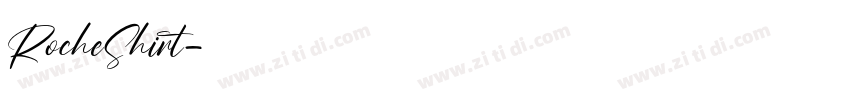 RocheShirt字体转换