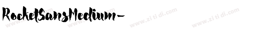RocketSansMedium字体转换