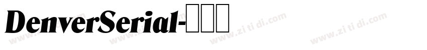 DenverSerial字体转换
