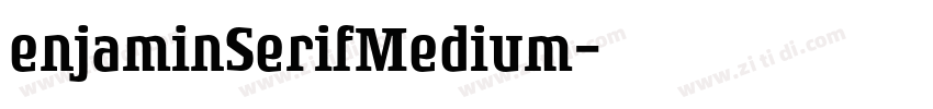 enjaminSerifMedium字体转换