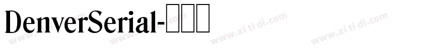 DenverSerial字体转换