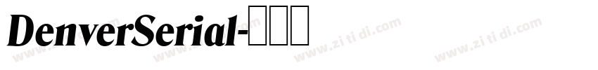 DenverSerial字体转换