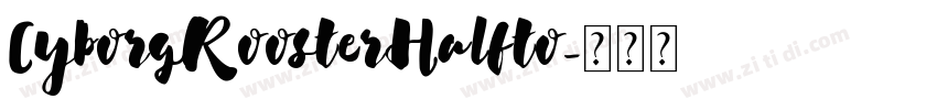 CyborgRoosterHalfto字体转换