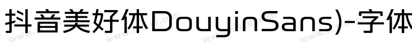 抖音美好体DouyinSans)字体转换
