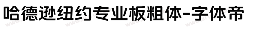 哈德逊纽约专业板粗体字体转换