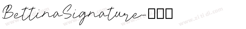 BettinaSignature字体转换