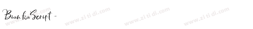 BiankaScript字体转换 BiankaScript字体转换