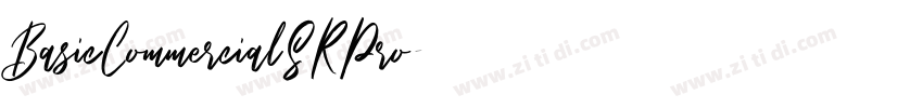 BasicCommercialSRPro字体转换