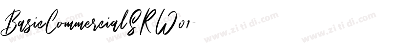 BasicCommercialSRW01字体转换
