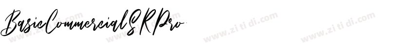 BasicCommercialSRPro字体转换
