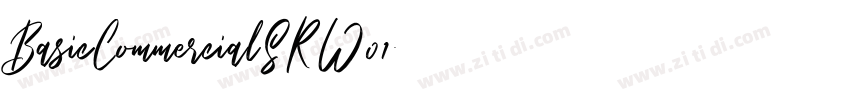 BasicCommercialSRW01字体转换