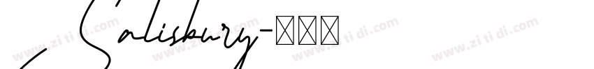 Salisbury字体转换