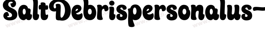 SaltDebrispersonalus字体转换
