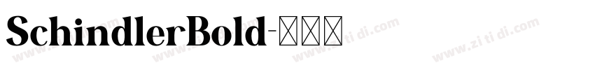 SchindlerBold字体转换