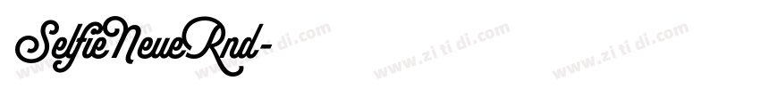 SelfieNeueRnd字体转换
