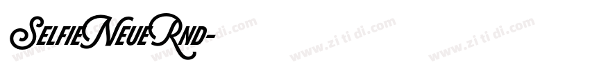 SelfieNeueRnd字体转换