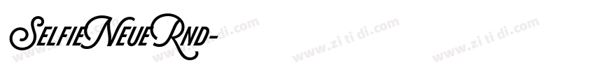 SelfieNeueRnd字体转换