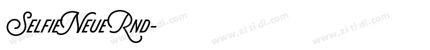 SelfieNeueRnd字体转换
