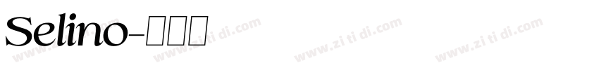 Selino字体转换