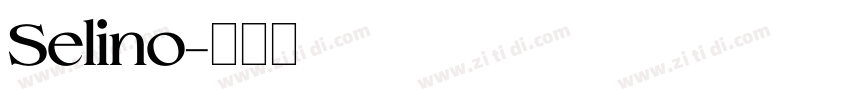 Selino字体转换