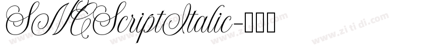 SNCScriptItalic字体转换