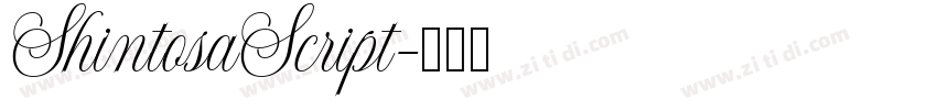ShintosaScript字体转换