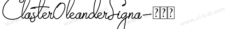 Claster0leanderSigna字体转换