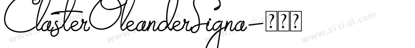 ClasterOleanderSigna字体转换