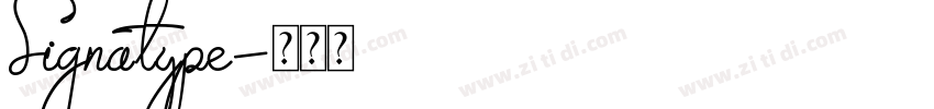 Signatype字体转换